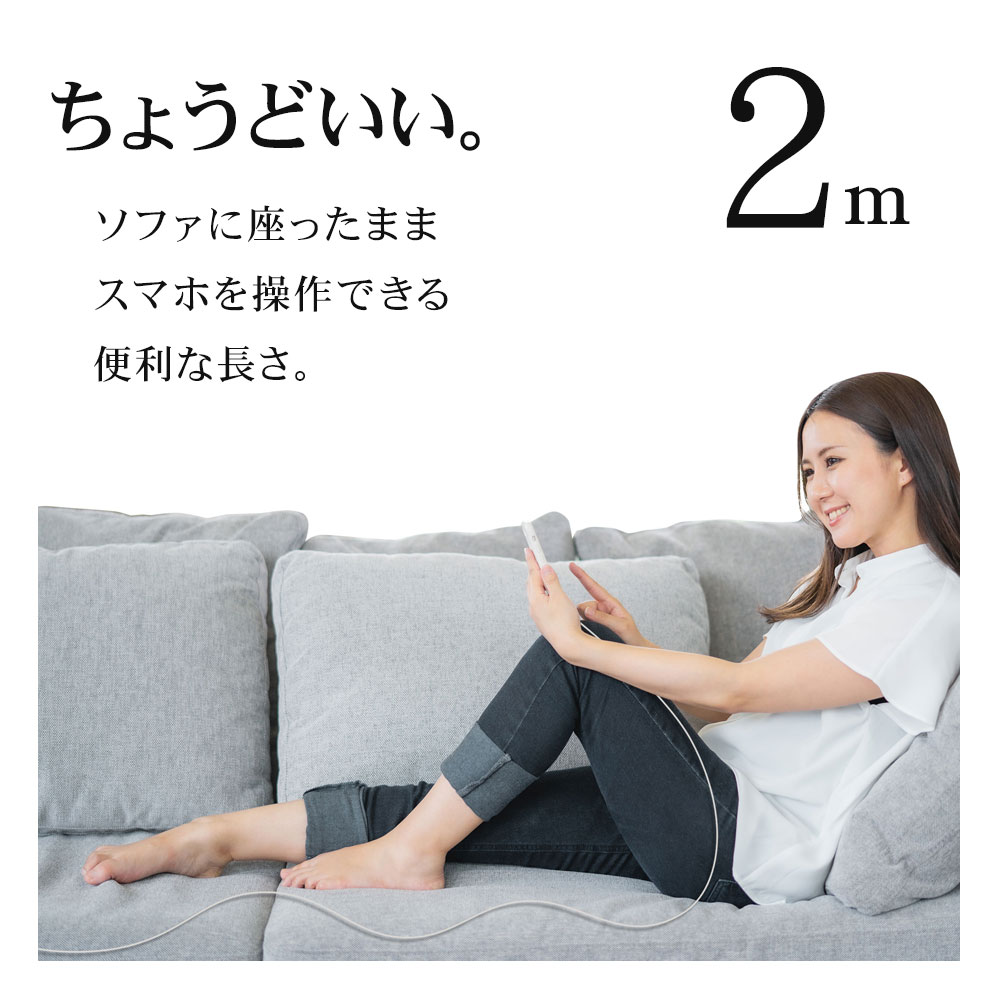 ACケーブル