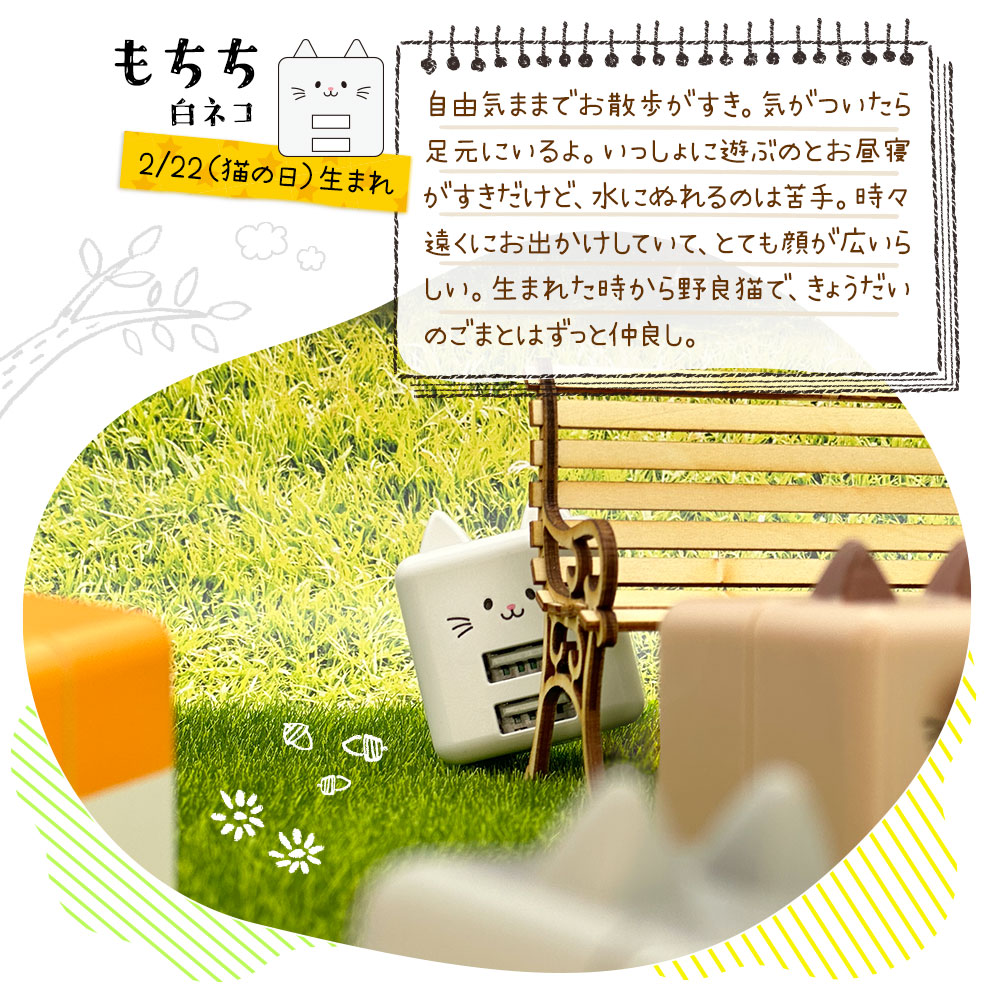 特集内容