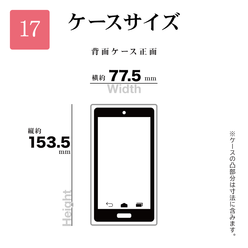 サイズ
