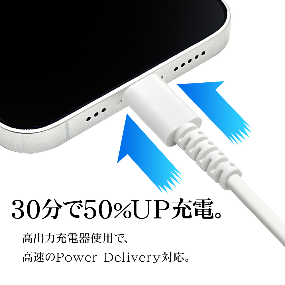 ラスタバナナ iPhone iPad iPod ライトニング タイプC ケーブル