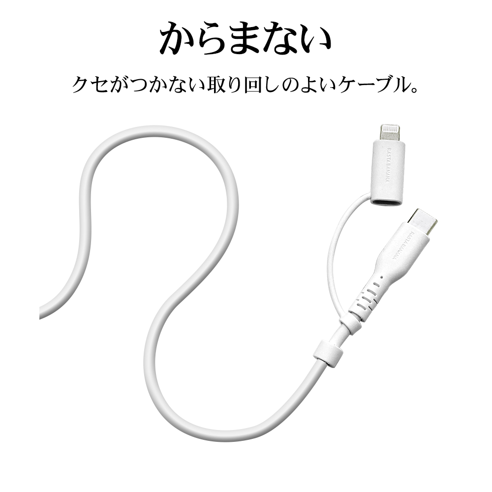 Apple純正Thunderbolt FireWire 変換アダプタ A1463