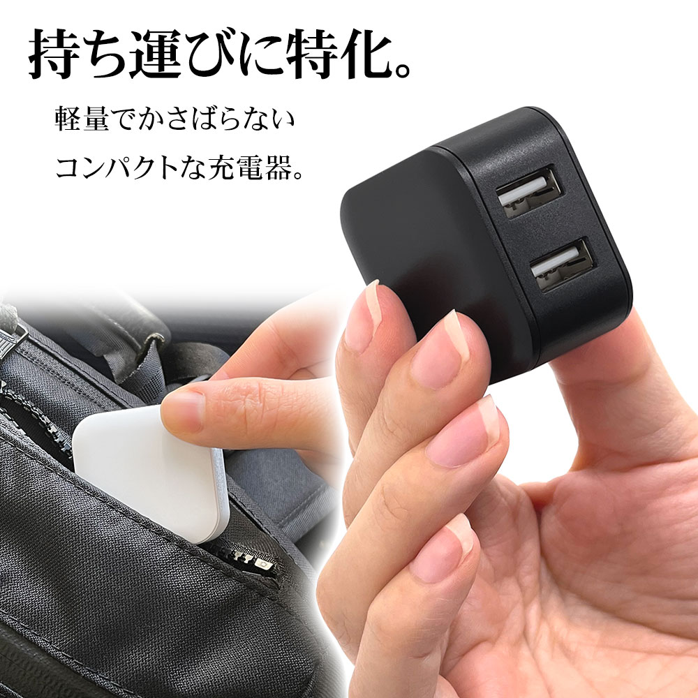 ラスタバナナ 充電器 ACアダプター タイプA 2ポート マイクロBケーブル