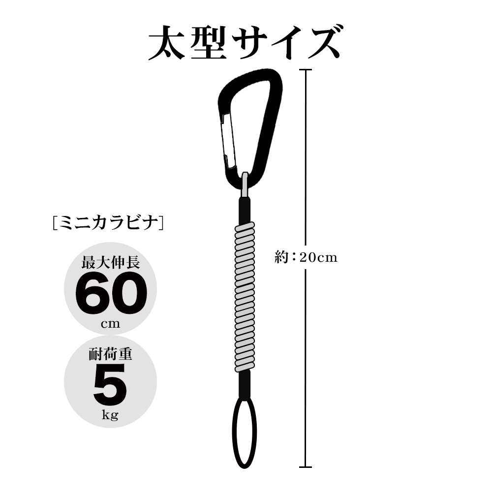 サイズ