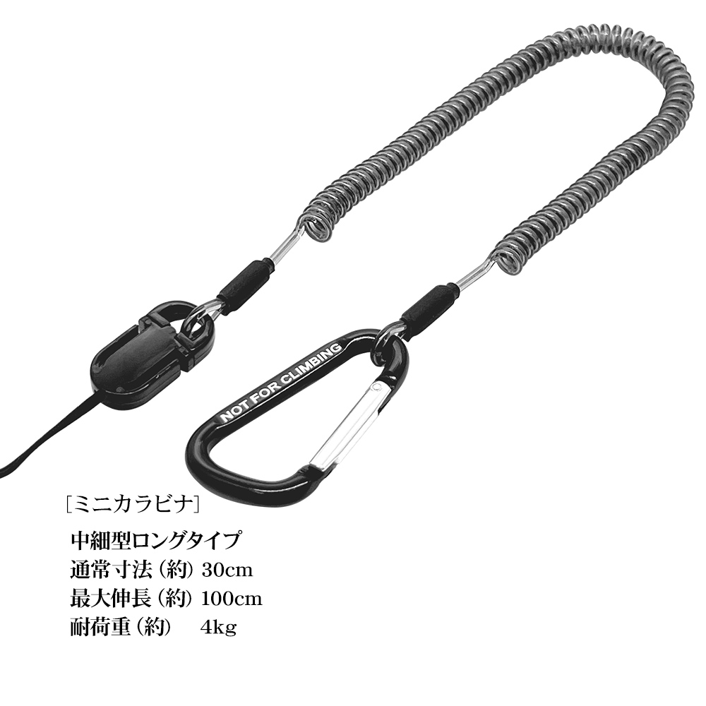 サイズ