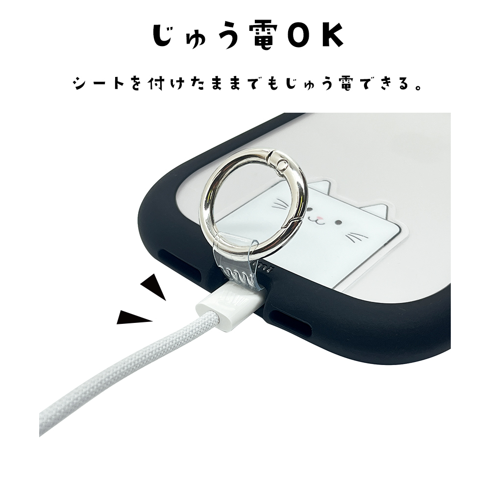 詳細