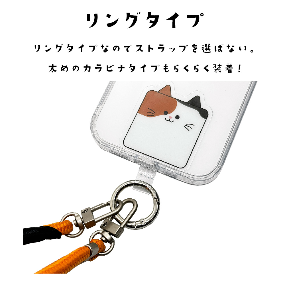 詳細