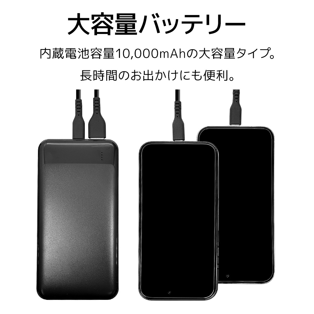 ラスタバナナ モバイルバッテリー 10000mAh 3ポート タイプC タイプA