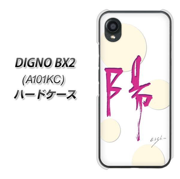 �f�B�O�mBX2 A101KC �n�[�h�P�[�X �J�o�[ OE833 �z �f�ރN���A UV���