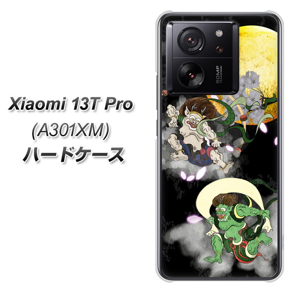 �V���I�~ 13T Pro A301XM �n�[�h�P�[�X �J�o�[ HA241 ���_���_ �� �f�ރN���A UV���
