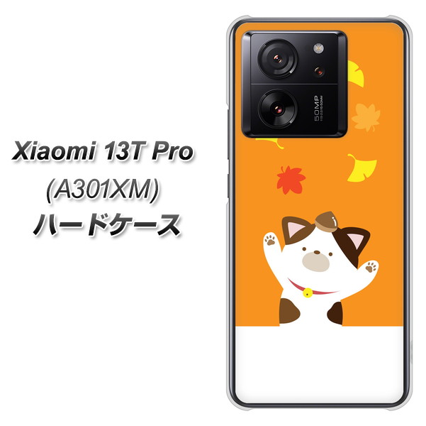 �V���I�~ 13T Pro A301XM �n�[�h�P�[�X �J�o�[ TA018 �H�݂� �f�ރN���A UV���