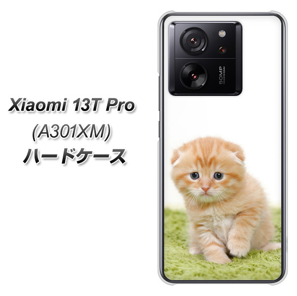 �V���I�~ 13T Pro A301XM �n�[�h�P�[�X �J�o�[ VA802 �l�R�������� �f�ރN���A UV���