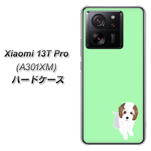 �V���I�~ 13T Pro A301XM �n�[�h�P�[�X �J�o�[ YJ059 �g�C�v�[03 �O���[��  �f�ރN���A UV���