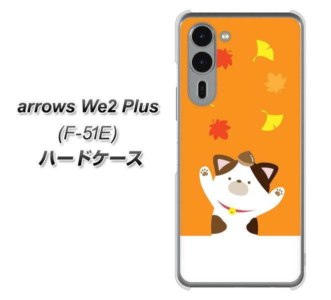 �A���[�YWe2 Plus F-51E �n�[�h�P�[�X �J�o�[ TA018 �H�݂� �f�ރN���A UV���
