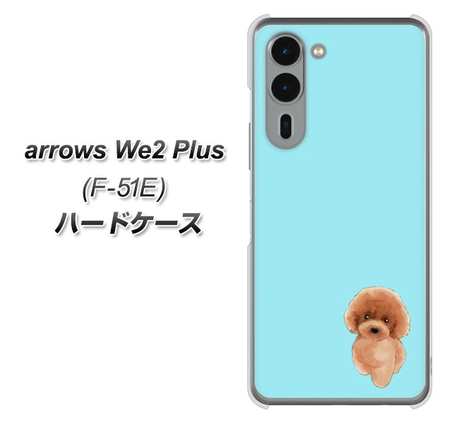 A[YWe2 Plus F-51E n[hP[X Jo[ YJ050 gCv[01 u[  fރNA UV