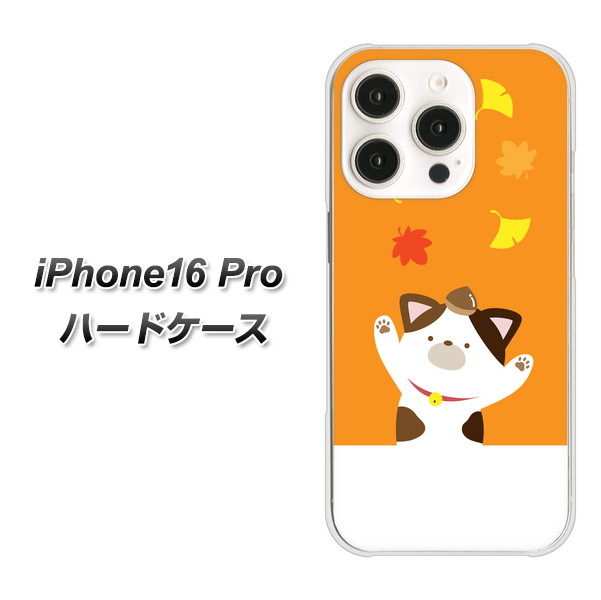 �A�C�t�H��16 Pro �n�[�h�P�[�X �J�o�[ TA018 �H�݂� �f�ރN���A UV���