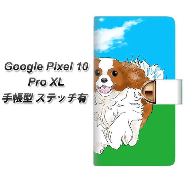 �O�[�O���s�N�Z��10 Pro XL �蒠�^ �X�}�z�P�[�X �y�X�e�b�`�^�C�v�z YD887 �L���o���A�L���O�`���[���Y�X�p�j�G��03 UV��� ���J��
