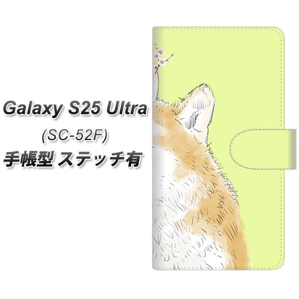 �M�����N�V�[S25 Ultra SC-52F �蒠�^ �X�}�z�P�[�X �y�X�e�b�`�^�C�v�z YJ015 �Č��R UV��� ���J��