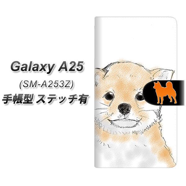 �M�����N�V�[A25 5G SM-A253Z �蒠�^ �X�}�z�P�[�X �y�X�e�b�`�^�C�v�z YD809 �Č�05 UV��� ���J��