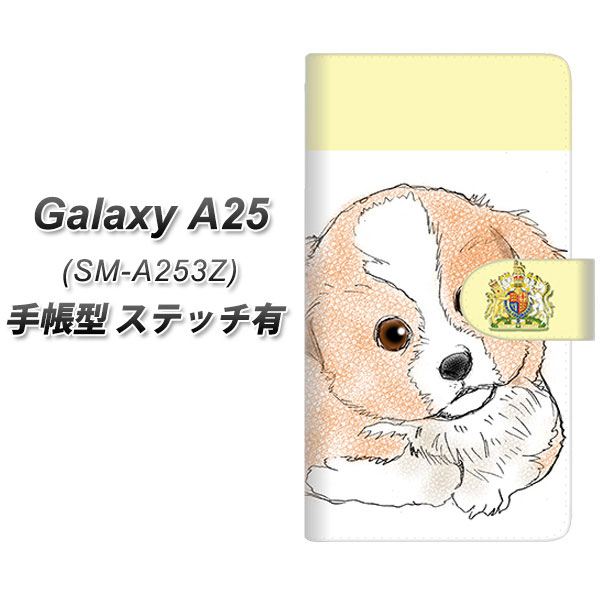 �M�����N�V�[A25 5G SM-A253Z �蒠�^ �X�}�z�P�[�X �y�X�e�b�`�^�C�v�z YD901 �{�[�_�[�R���[02 UV��� ���J��