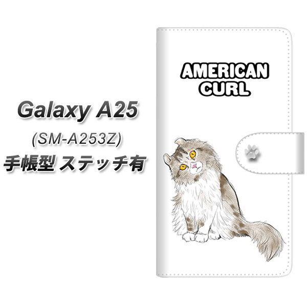 �M�����N�V�[A25 5G SM-A253Z �蒠�^ �X�}�z�P�[�X �y�X�e�b�`�^�C�v�z YE970 �A�����J���J�[��01 UV��� ���J��