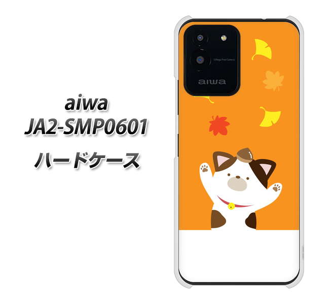 aiwa JA2-SMP0601 �n�[�h�P�[�X �J�o�[ TA018 �H�݂� �f�ރN���A UV���