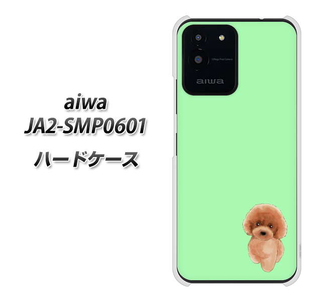 aiwa JA2-SMP0601 �n�[�h�P�[�X �J�o�[ YJ052 �g�C�v�[01 �O���[��  �f�ރN���A UV���
