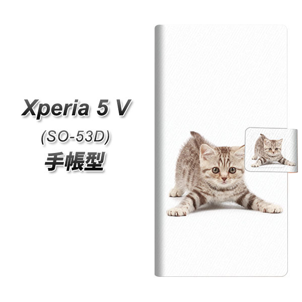 �G�N�X�y���A5 V SO-53D �蒠�^ �X�}�z�P�[�X 462 ���܂��� UV��� ���J��