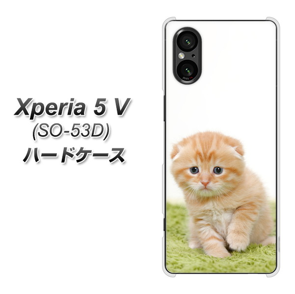 GNXyA5 V SO-53D n[hP[X Jo[ VA802 lR fރNA UV