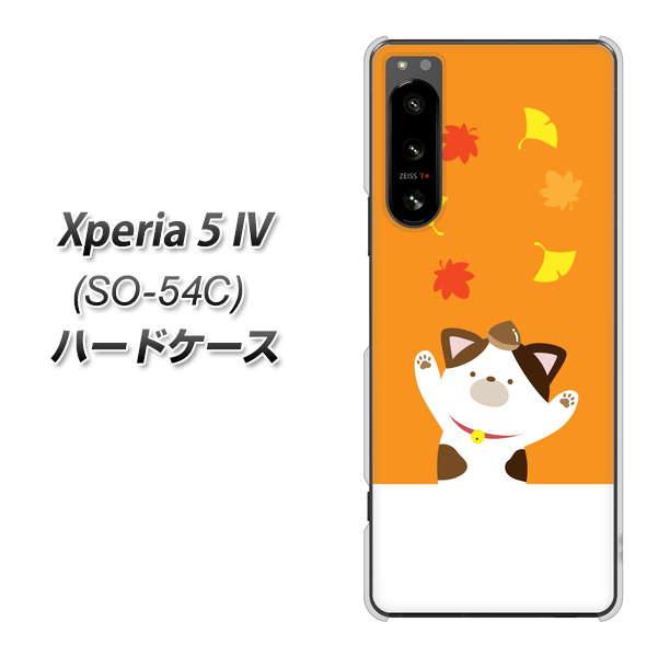 �G�N�X�y���A5 IV SO-54C �n�[�h�P�[�X �J�o�[ TA018 �H�݂� �f�ރN���A UV���