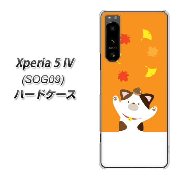 �G�N�X�y���A5 IV SOG09 �n�[�h�P�[�X �J�o�[ TA018 �H�݂� �f�ރN���A UV���