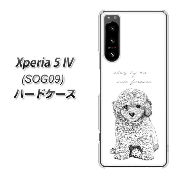 GNXyA5 IV SOG09 n[hP[X Jo[ YJ191 gCv[h  킢 fރNA UV