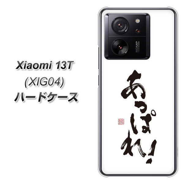 �V���I�~ 13T XIG04 �n�[�h�P�[�X �J�o�[ OE846 �����ς�I �f�ރN���A UV���