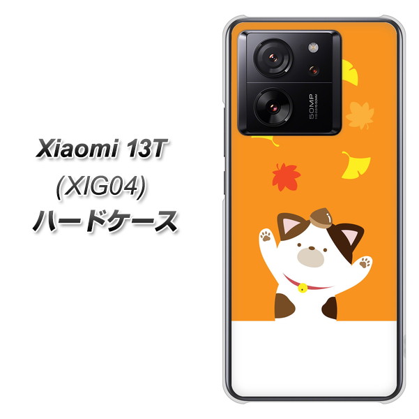 �V���I�~ 13T XIG04 �n�[�h�P�[�X �J�o�[ TA018 �H�݂� �f�ރN���A UV���