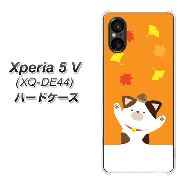 �G�N�X�y���A5 V XQ-DE44 �n�[�h�P�[�X �J�o�[ TA018 �H�݂� �f�ރN���A UV���