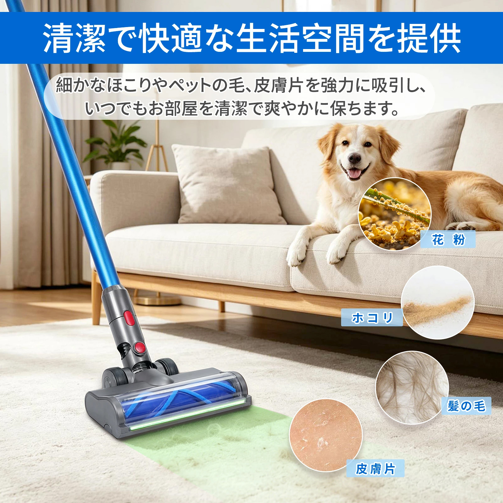 Dyson 掃除機部品、アクセサリー（種類：ヘッド）｜掃除機、クリーナー