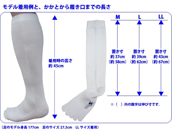 ５本指ソックス　2足セット　（五本指　靴下）メンズ ハイソックス　日本製 五本指 （22-24cm:25-27cm:27-29cm）