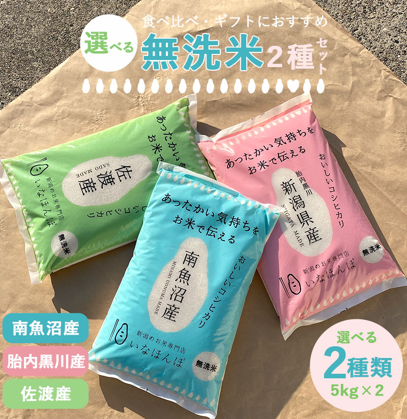 コシヒカリ　オリジナルもっちり米 10kg 丹波市産コシヒカリ 特別栽培米 10kg（精米）×1袋 送料無料