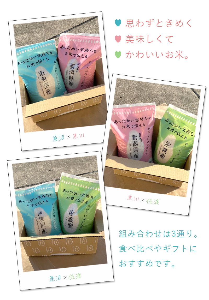 コシヒカリ お米 米 10kg 無洗米 送料無料 いなほんぽオリジナル コシヒカリ お米 米 10kg 無洗米 送料無料 いなほんぽオリジナル