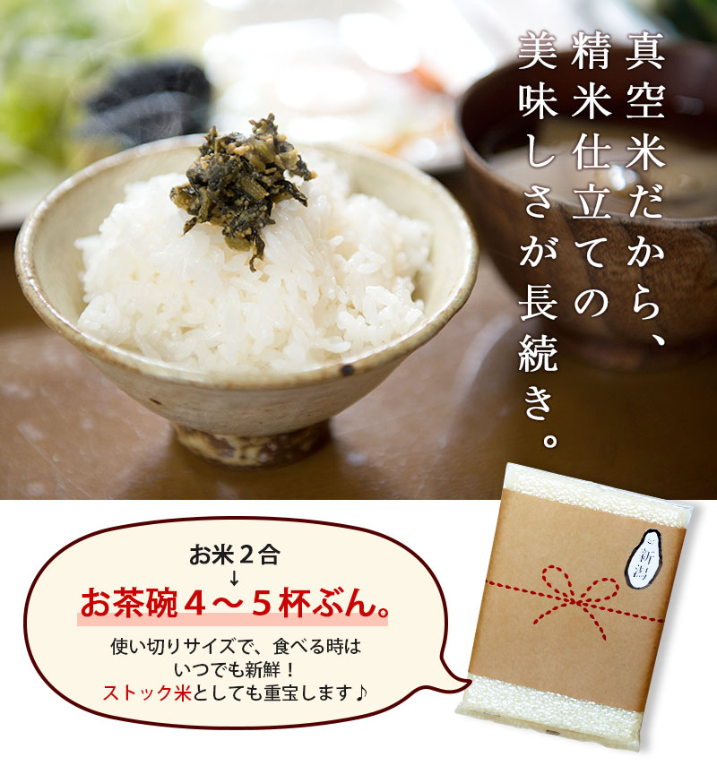コシヒカリ お米 おいしいご挨拶 2合 300g 令和6年産 新潟産