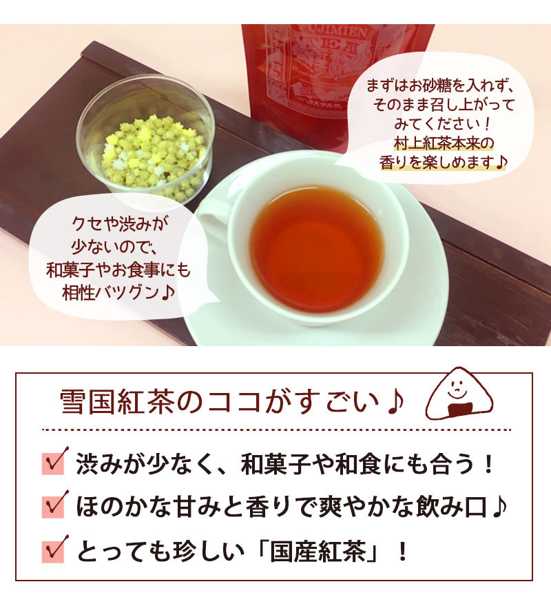 村上茶 雪国紅茶 ティーバッグ 10p 紅茶 お茶 新潟 国産 冨士美園 北限