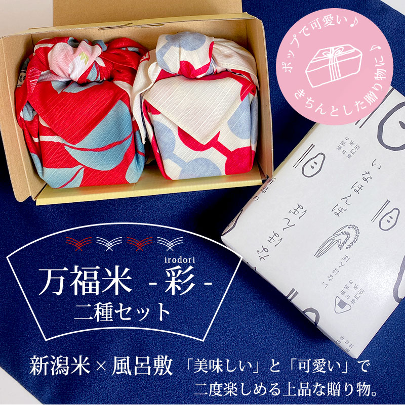 【こゆき★様】専用・赤/青、各360g≪フォロー割特価≫ コシヒカリ 令和7年産 送料無料 万福米 -彩2種セット- 真空米2個