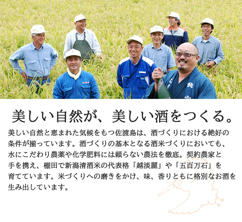 朱鷺の國