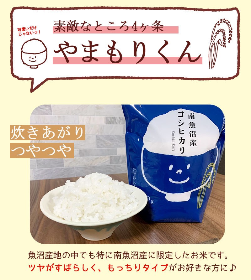 コシヒカリ お米 米 3.6kg (900g×4) 魚沼産コシヒカリ 令和6年産
