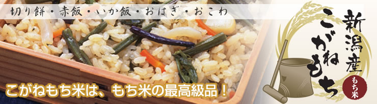 新潟産もち米“こがねもち”1kg