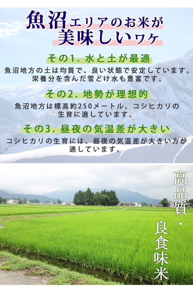 商品説明2