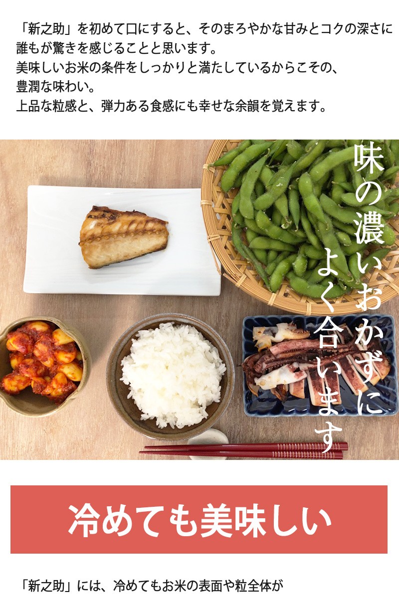 “商品説明4”