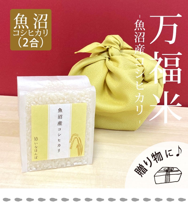 楽天市場】コシヒカリの苗(稲) こしひかり1ブロック（5～6本