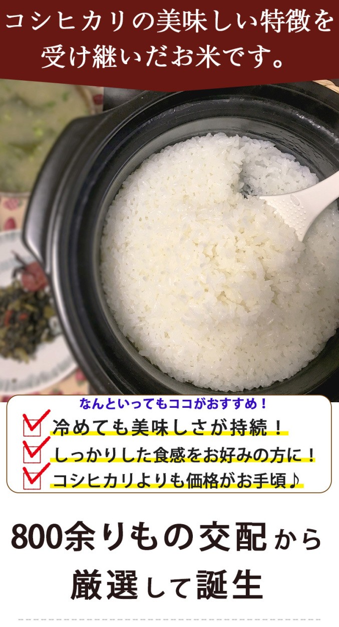 商品説明1