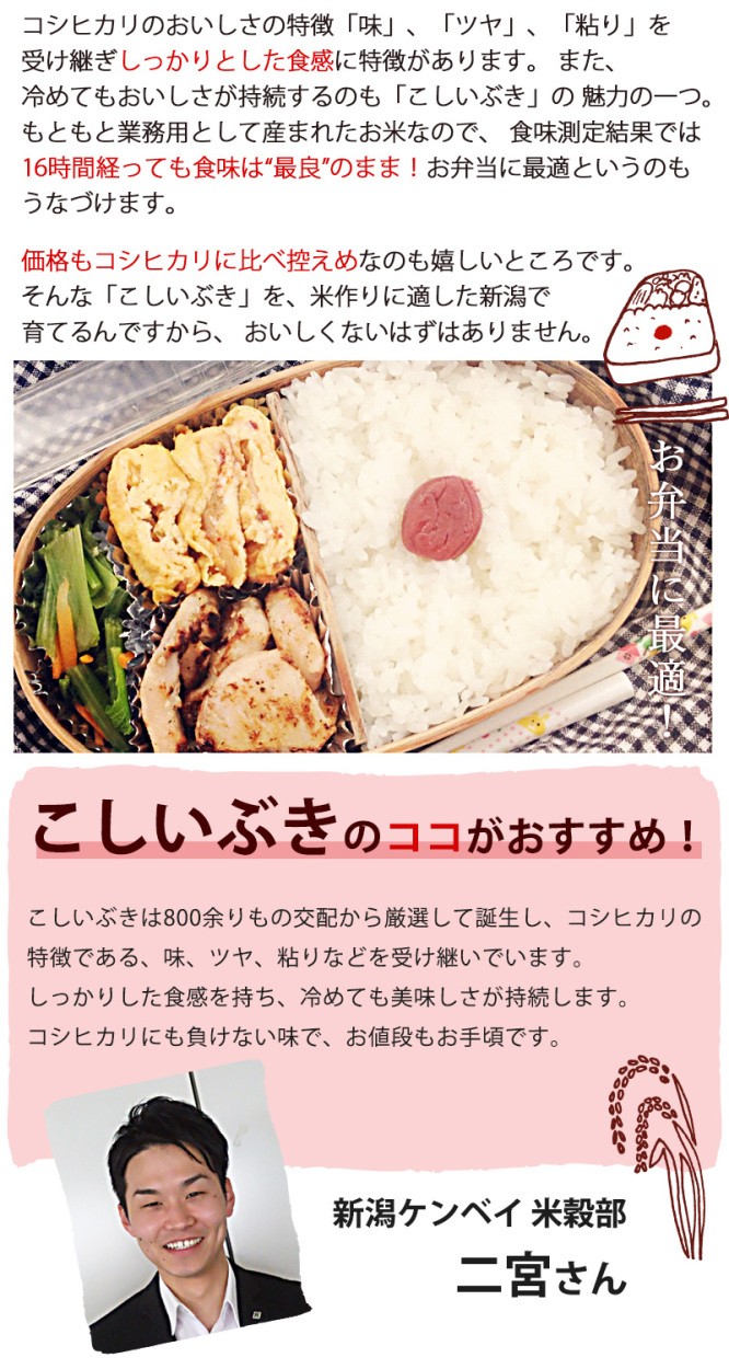 商品説明2