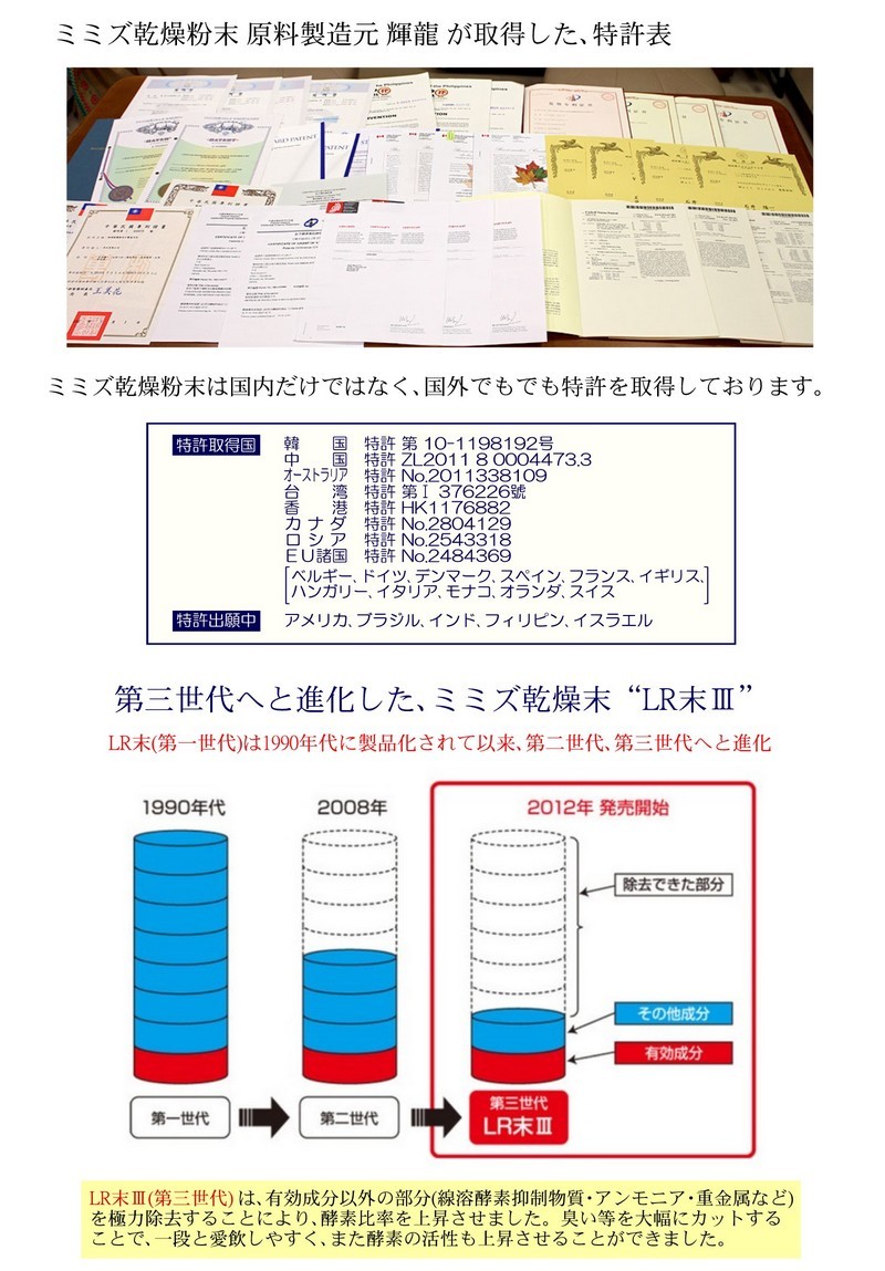 ミミズ酵素 特許製造 ミミズ乾燥粉末 健選 イムノ ルンブレン 90錠 約